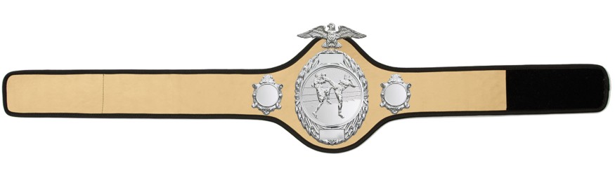 THAI BOXING CHAMPIONSHIP BELT - PRO288/S/TBOS - 10 COLOURS THAI BOXING CHAMPIONSHIP BELT - PRO288/S/TBOS - 10 COLOURS